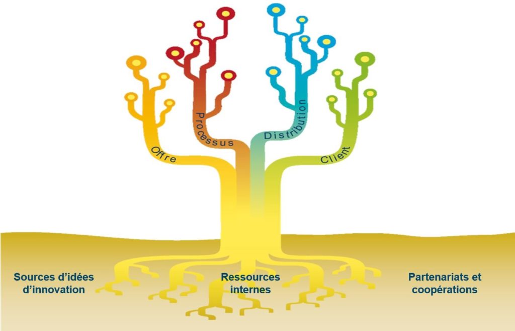 Schéma de l'arbre d'innovation qui représente la méthodologie de coaching platinn