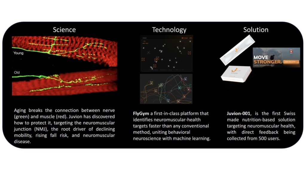 Illustration de la technologie et des produits de Juvion Health Sciences actifs sur la santé neuromusculaire